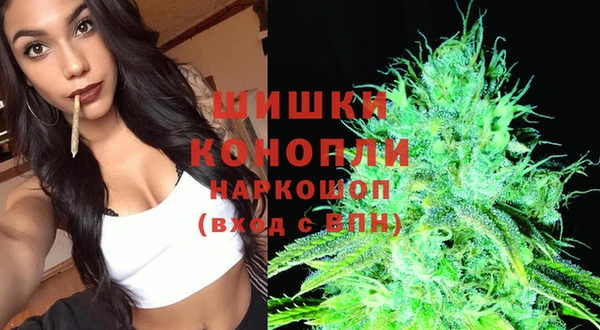 стафф Елабуга