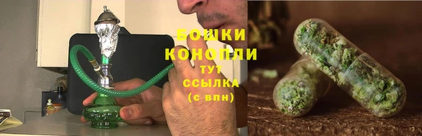 мескалин Ельня