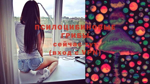 мескалин Ельня