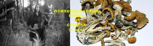 кокаин колумбия Елизово